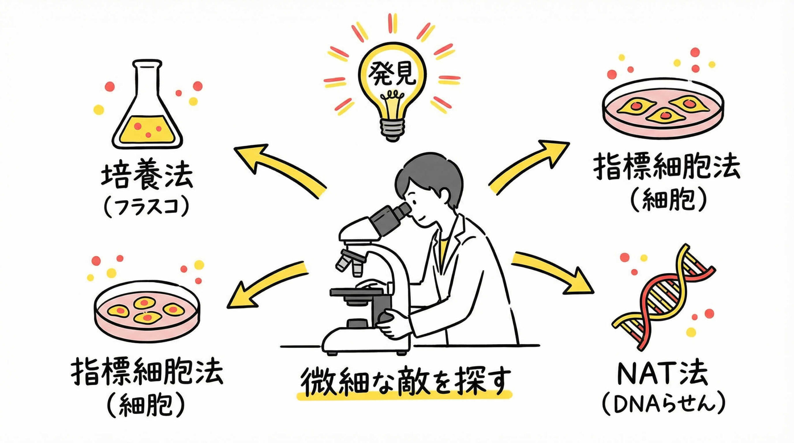 マイコプラズマ否定試験の具体的な実施手順と選択基準
