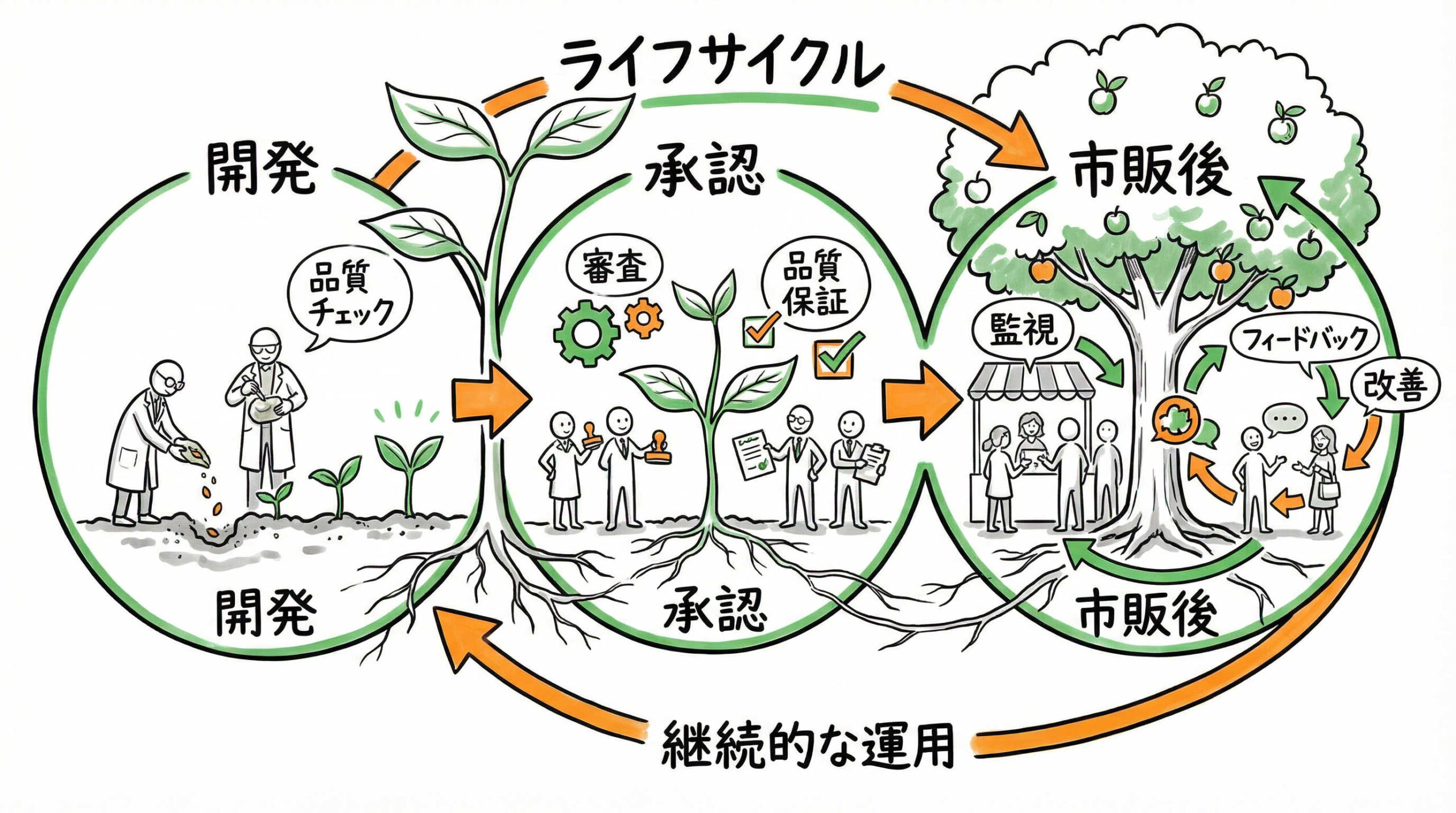 再生医療等製品のライフサイクルを通じた安定性プログラムの運用