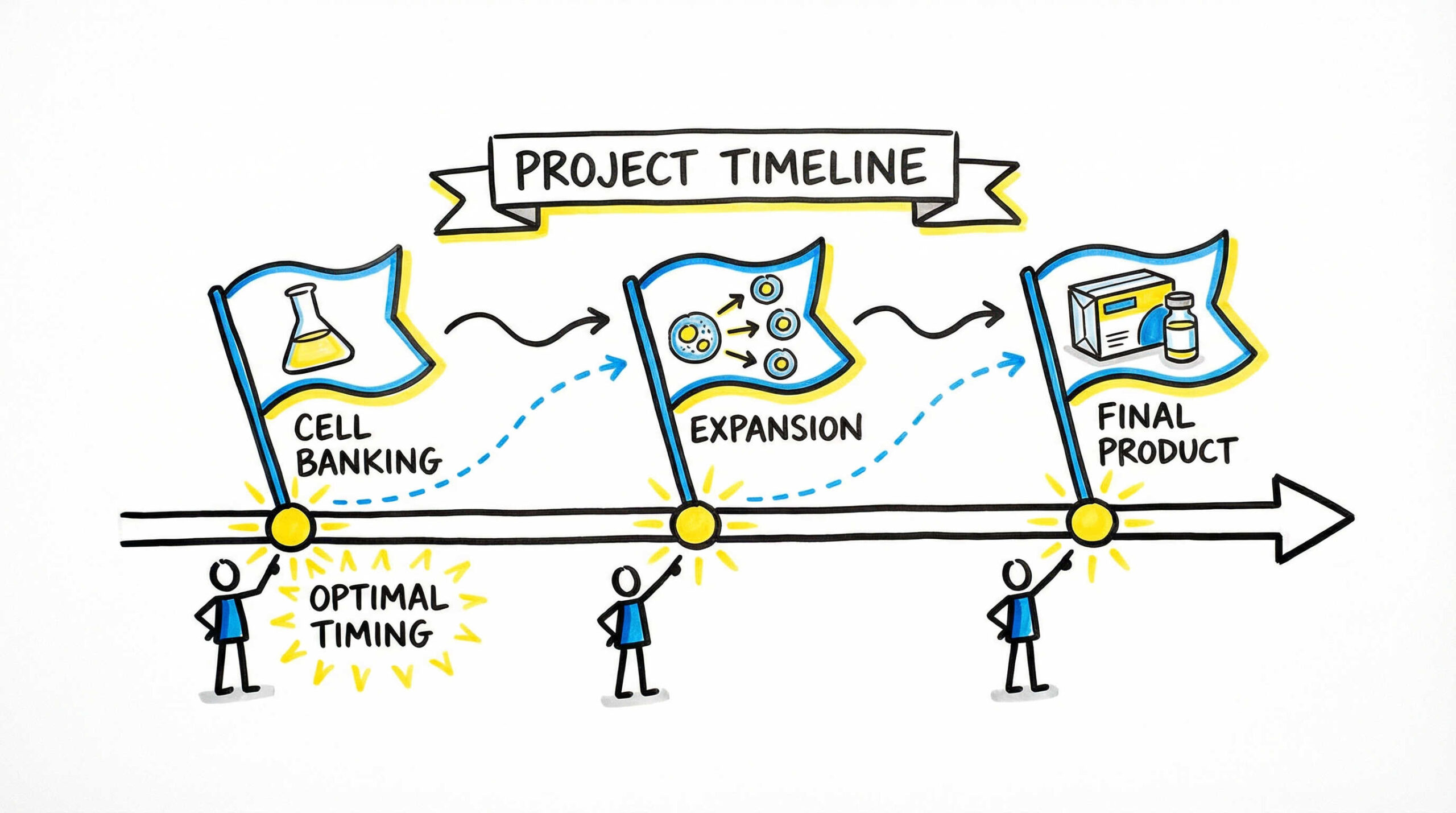 細胞の同一性試験を実施すべき推奨タイミング
